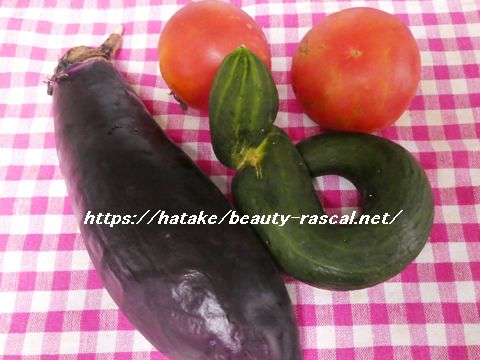 茄子とトマト