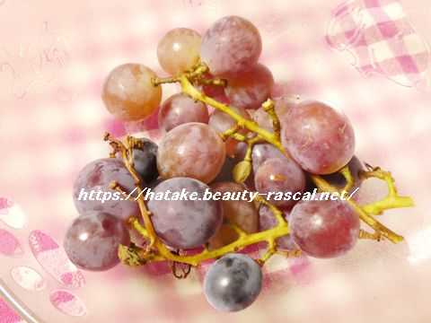 葡萄,ぶどう,ブドウ