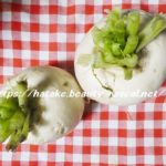 蕪,raddish,kabu